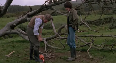 Cal (1984)