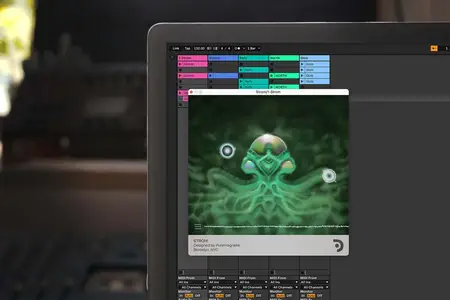 Puremagnetik Strom v2024.10 WiN macOS