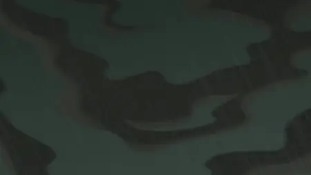 Rapunzel's Tangled Adventure S02E13