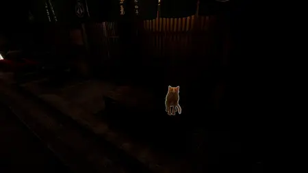 Kyoto Anomaly (2025)