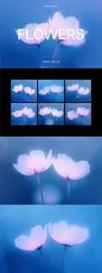 Abstact Blurred Flower Textures - PSD Template