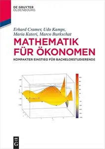 Mathematik für Ökonomen: Kompakter Einstieg für Bachelorstudierende