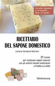 Ricettario del sapone domestico: 27 ricette per realizzare saponi naturali divertenti e originali