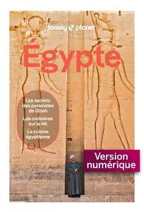 Collectif, "Guide Égypte 2026-2027: Itinéraires, expériences, conseils pratiques"