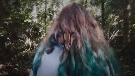 Wildcat (2022)