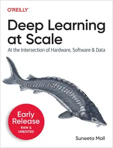 Deep Learning at Scale (3rd Early Release)