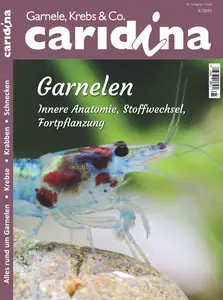 Caridina - No.2 2025