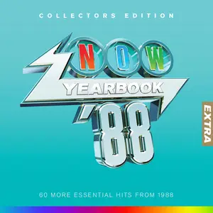 VA - NOW Yearbook Extra '88 (2024)
