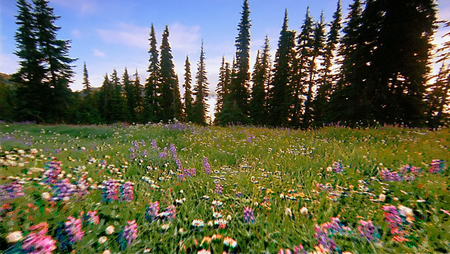 IMAX: North Americas National Parks (2002) (Repost)
