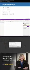 OneNote for Windows 10 Essential Training