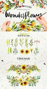 CreativeMarket - Wonderflower Watercolor Set
