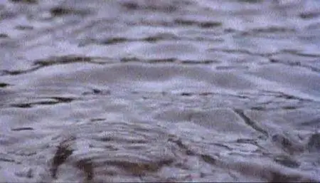 BBC - Earth - The Climate Wars (2008)