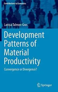 Development Patterns of Material Productivity: Convergence or Divergence?