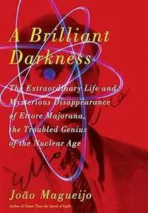 A Brilliant Darkness