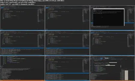 Detecting Memory Leaks in C/C++ Applications