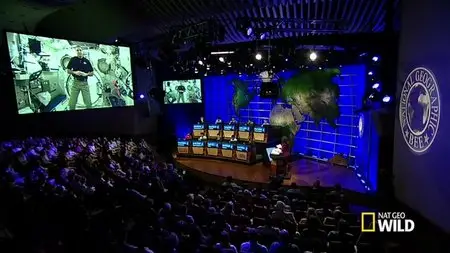 National Geographic - Bee (2014)