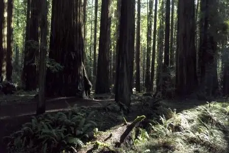 Murder Mountain S01E03
