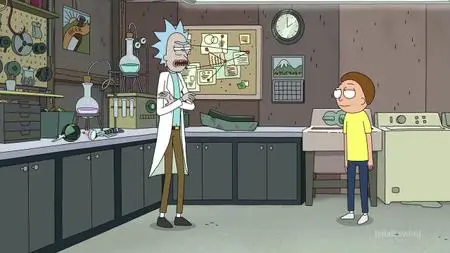 Rick and Morty S04E08