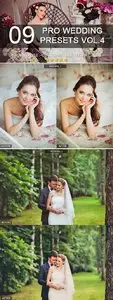 GraphicRiver 9 Pro Wedding Presets vol.4