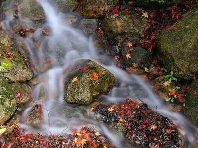 Japan Nature Wallpapers
