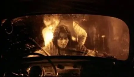 Lars von Trier-Forbrydelsens element (1984)