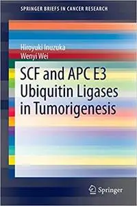 SCF and APC E3 Ubiquitin Ligases in Tumorigenesis