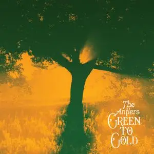 The Antlers - Green to Gold (2021) [Official Digital Download 24/88.2]