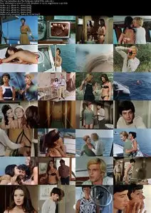 Top Sensation (1969)
