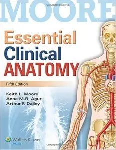 Essential Clinical Anatomy (5th edition) (Repost)