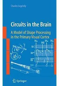 Circuits in the Brain: A Model of Shape Processing in the Primary Visual Cortex