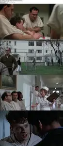 One Flew Over the Cuckoo's Nest (1975)