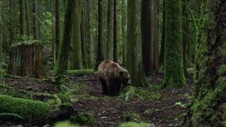 UnReal (2015)