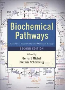 Biochemical Pathways: An Atlas of Biochemistry and Molecular Biology (Repost)