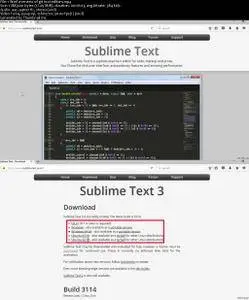 Git Advanced Series ( Part 1 )  Setting up Sublime Text as the default Git text editor