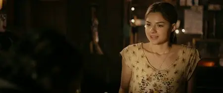 Stake Land (2010)