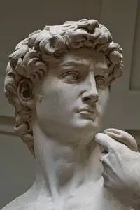 David (Michelangelo) Galleria dell Accademia, Florence, Italy