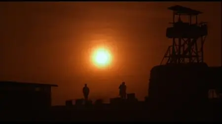 Platoon (1986) Special Edition
