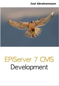 EPiServer 7 CMS Development