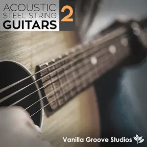 Vanilla Groove Studios Acoustic Steel String Guitars Vol 2 WAV