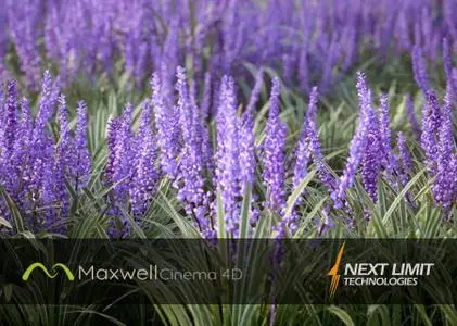 NextLimit Maxwell 5 version 5.1.0 for Cinema4D