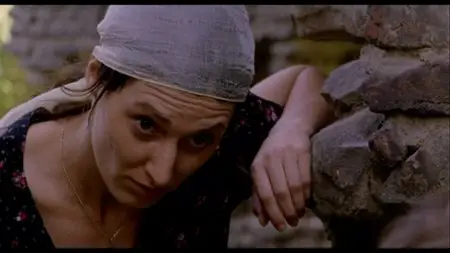 Katalin Varga (2009)