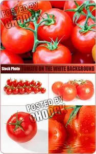 Tomato on the white background - Stock Photo