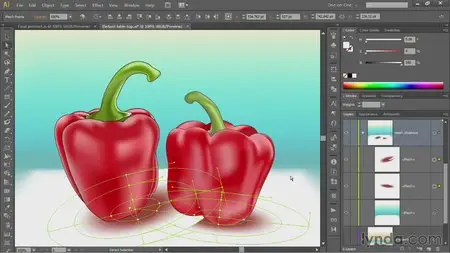 Illustrator CC One-on-One: Mastery (2013) [repost]