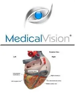 Human Body Atlas Medical View (Repost) 