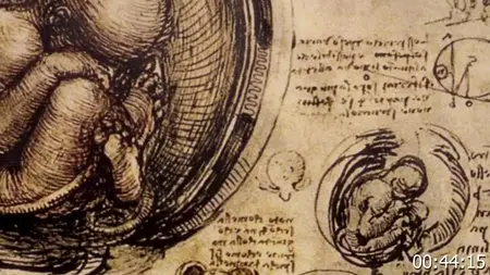 Da Vinci: The Lost Treasure