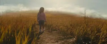A Dog's Journey (2019)
