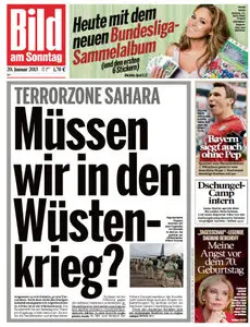Bild Zeitung vom 20 Januar2013