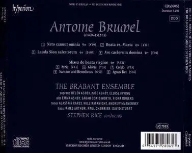 The Brabant Ensemble & Stephen Rice - Brumel: Missa de beata virgine & Motets (2014)