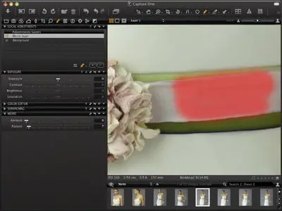 Capture One Pro 6.0.1 (Mac Os X)