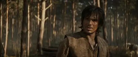 Les trois mousquetaires: D'Artagnan / The Three Musketeers: D'Artagnan (2023)